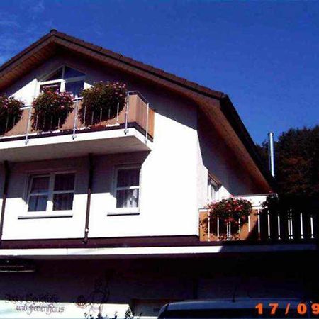 Ferienappartements Bruestle Friburgo in Brisgovia Esterno foto